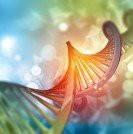 3D medical background with DNA strand